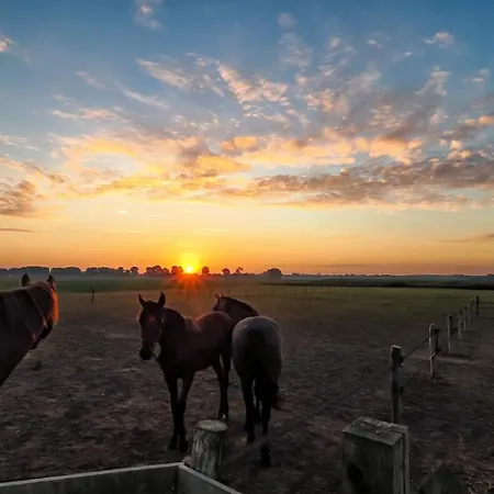 Casa de hóspedes Bie Zus Buggenum
