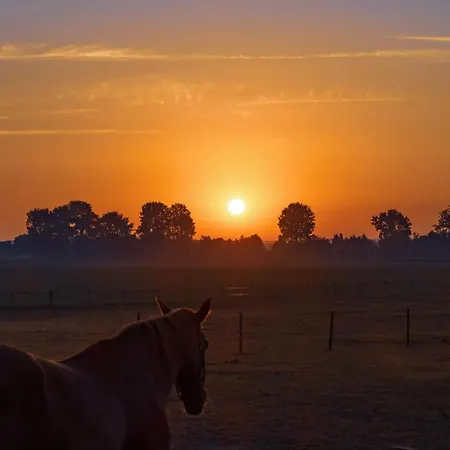 Casa de hóspedes Bie Zus 3*