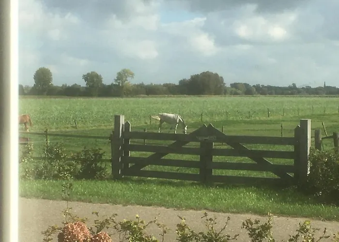 Bie Zus بيت ضيافة