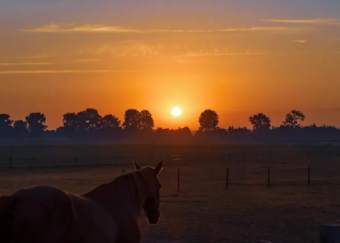 بيت ضيافة Bie Zus 3*