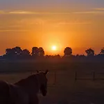 בית הארחה Bie Zus 3*