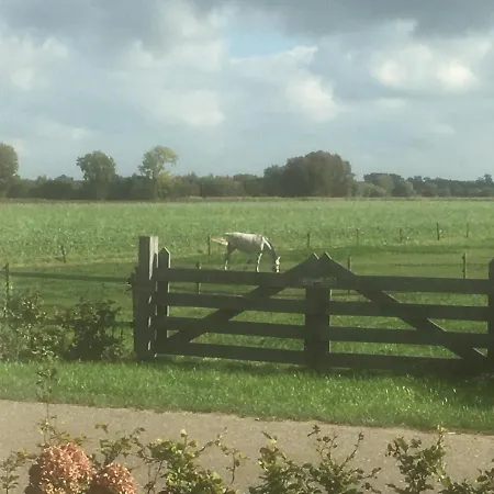 Bie Zus בית הארחה