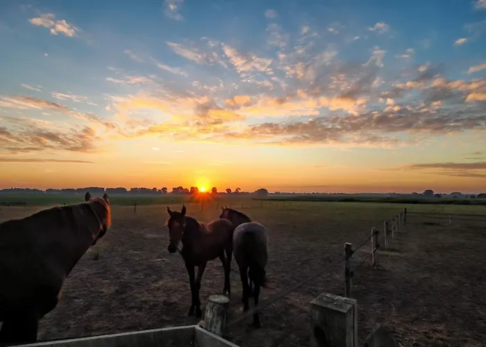 בית הארחה Bie Zus Buggenum